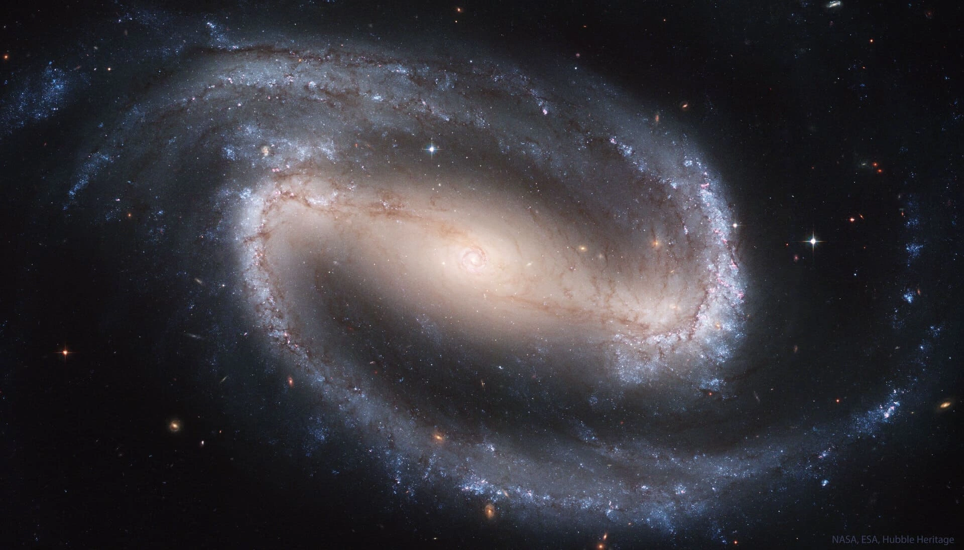 A high-resolution Hubble Space Telescope image of the barred spiral galaxy NGC 1300, representing Phase IV: Interstellar and infinite business growth. A high-resolution Hubble Space Telescope image of the barred spiral galaxy NGC 1300, representing Phase IV: Interstellar and infinite business growth.